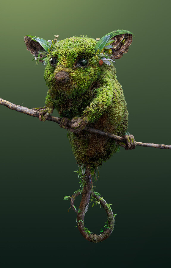 Josh-Dykgraaf-Koala-Digital art