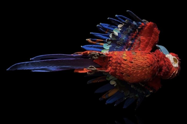 Robyn Lees-West - Bird Sculpture - 5